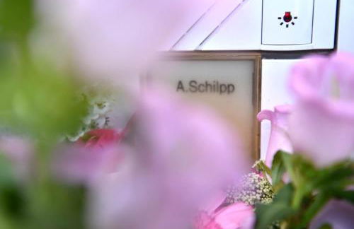 Herzmuschel - Foto 47