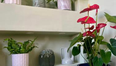 Bridge House - Foto 4