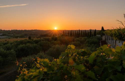 Villa Albina & Domenica - Foto 37