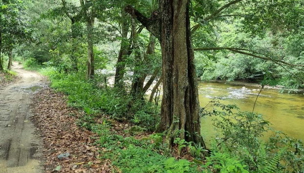 Laguna Encantada Tour - Photo 2, Following the Mendihuaca River