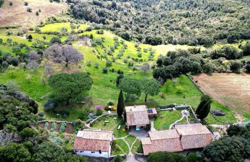 Nocini di Maremma - Photo 50