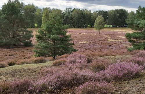 Apartment Wohnung in Jameln mit Garten- Grill und Terrasse by Interhome - Foto 36