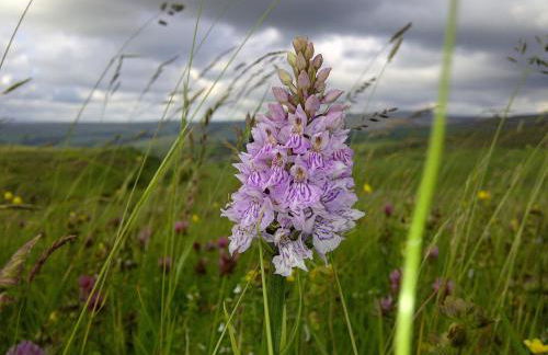 The Hayloft - Foto 18