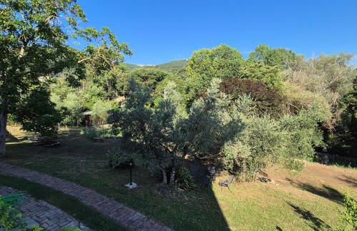 La Rosa Rossa - Foto 35