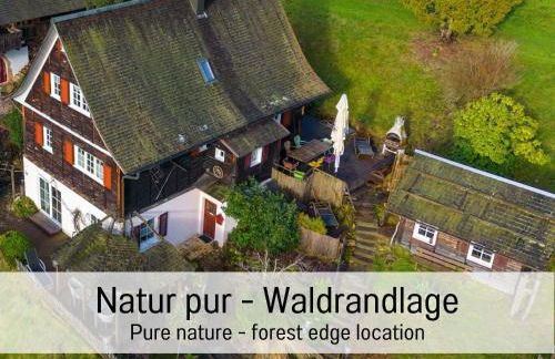 Waldhaus: Sauna | Kamin - Foto 10