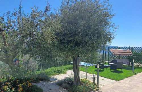 La Maestà di Alice - Foto 37