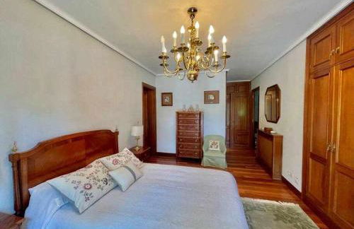 Amatxo Maitia - Amplio piso, de pelicula. - Foto 15