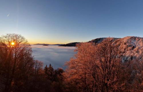 La Bresse Nature and Glisse - Foto 14