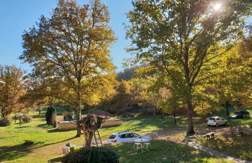 Domaine du Bois Noir - Foto 3