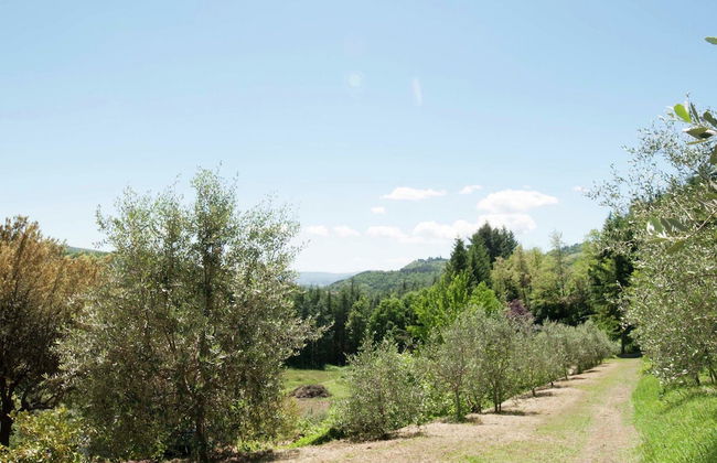 Villa in Casentino With Pool & Castle Views - Foto 37