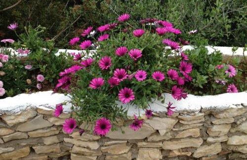 Koutsounari Traditional Cottages - Foto 136