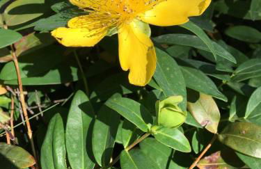Le Coccole Del Trasimeno - Foto 55