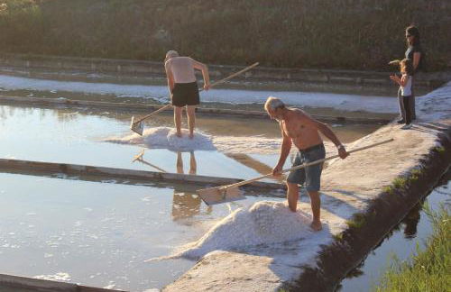 Ti Laura Praia - Foto 58