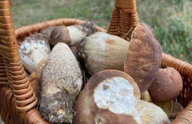 Ferienwohnung Marktstrasse - Foto 38