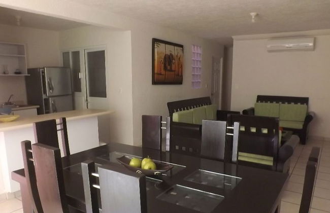 Patagon G-04 - Foto 5