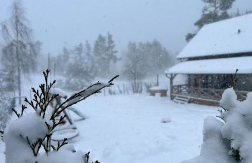 Domki Gorąca Bania - Foto 54