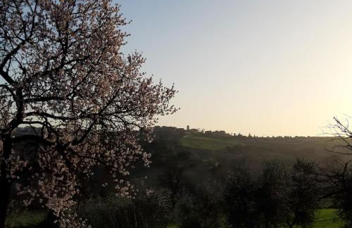 Casale Ziarelli - Photo 11