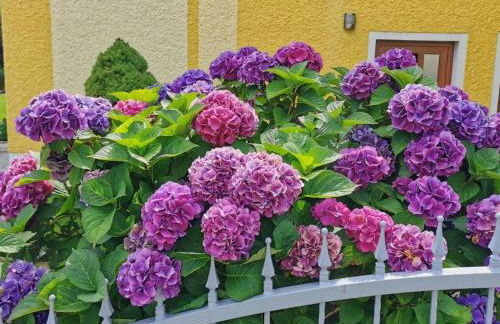 Apartment Komfortable Ferienwohnung mit Garten und Grill by Interhome - Foto 21