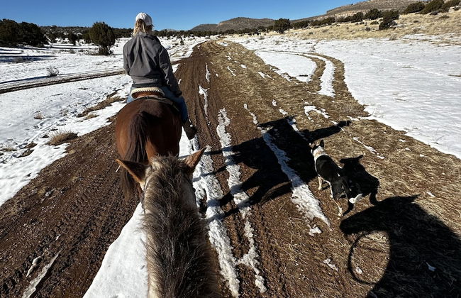 Grand Canyon Glamping Resort - Foto 24