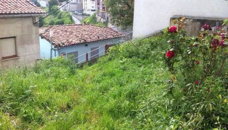 La Casa de Antón - Foto 2, Garden view