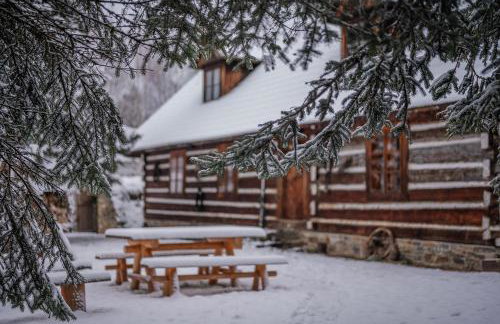 Przystanek Ropienka Chata Łemkowska - Foto 1