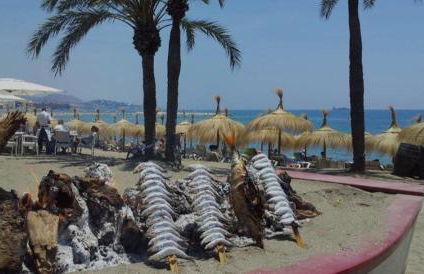 Lofts Brisa Mar - Photo 16