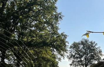 FeWo Brauel am Nordpfad Zevener Geest - Ruhige, moderne 2 Zimmer Wohnung, Ladestation, Parkplatz, Wlan, Garten - Foto 28