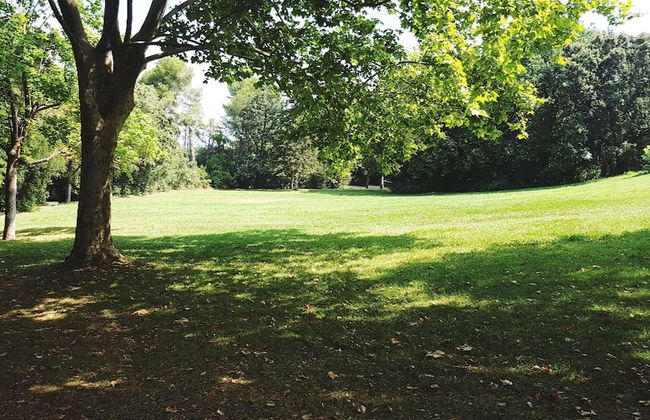 Chateau Saint Martin de Graves - Foto 44