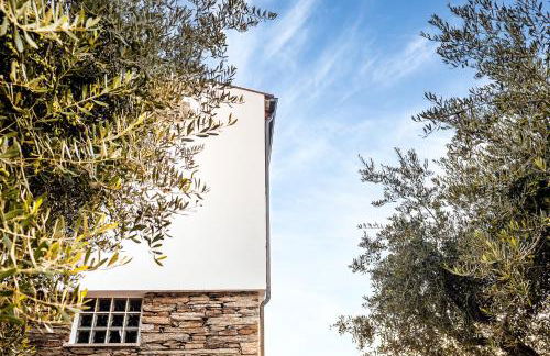 The Douro Nest - Foto 34