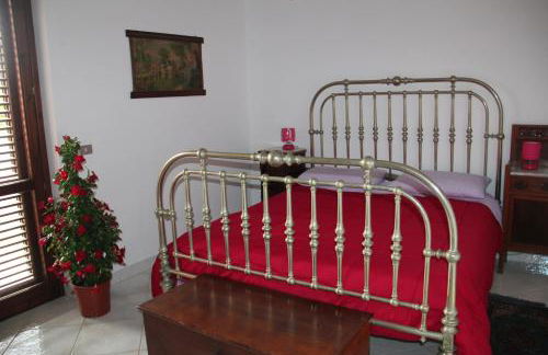 aranceto dell'Etna - Foto 32