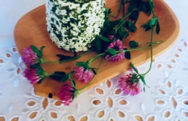 Gospodarstwo Agroturystyczne - Foto 21