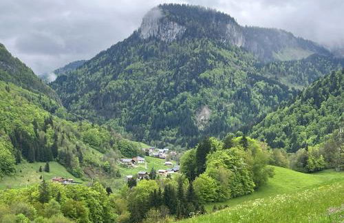 Villa en Bellevaux avec sauna et jacuzzi - Foto 12