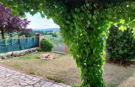 La Bella Vista - Photo 57