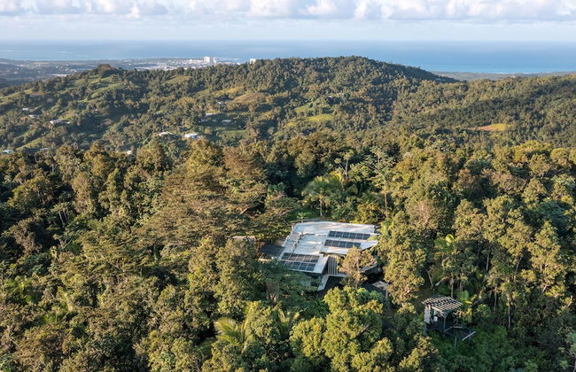 SELVA by DW - Photo 55