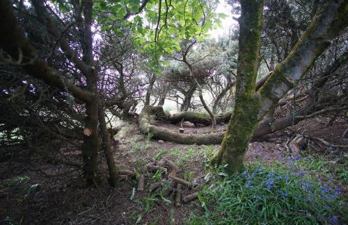 Remuera, North Tolsta - Photo 23