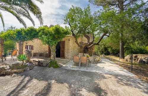 Can Company - Foto 49