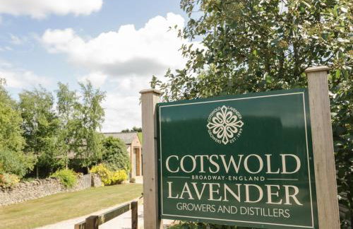 Alstroemeria - Photo 27