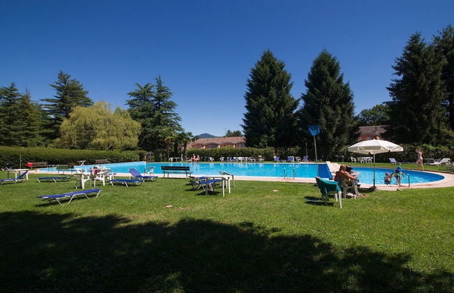 Rododendro Rosso - Foto 19