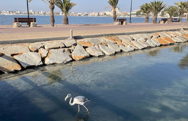 The Fairways - Luxurious Front Line Villa on Mar Menor Golf Resort - Photo 14