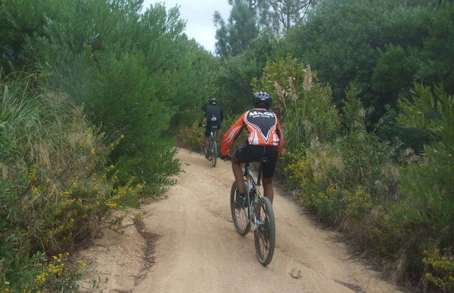 Tour en bicicleta por el Parque Natural Sintra-Cascais - Foto 2