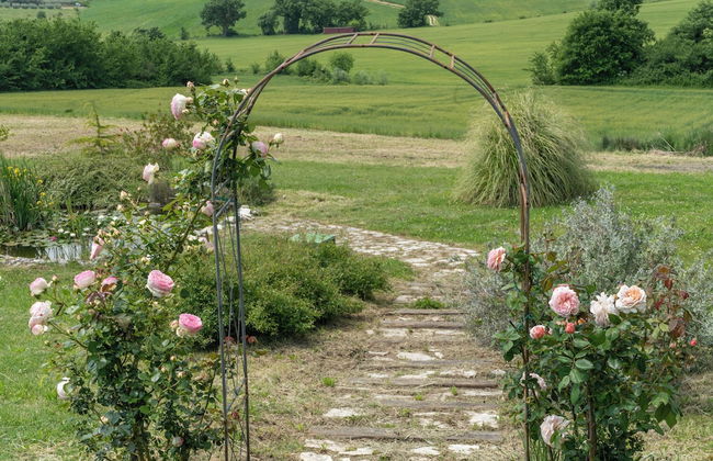 Tenuta di campagna con piscina immersa nel verde - Foto 53