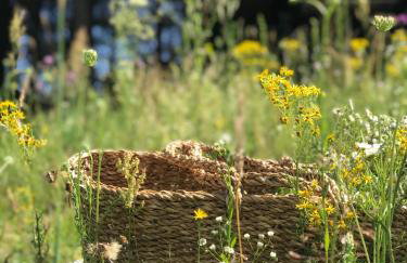 Na skraju gaju - Foto 28