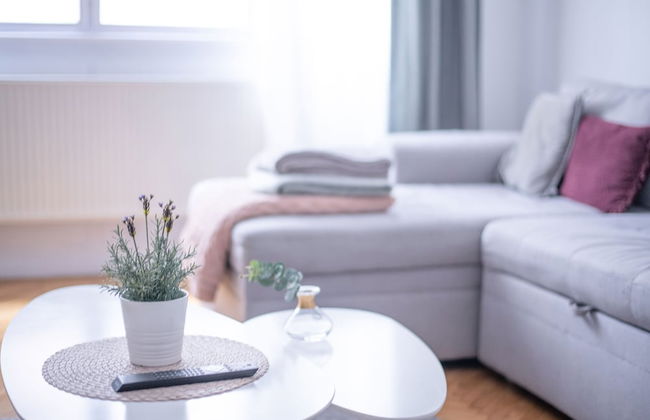 Venus Apartments - Paulay Ede Street - Foto 11