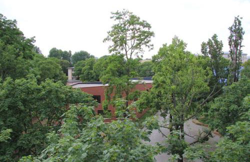 Ferienwohnungen Familie Böckmann - Foto 38