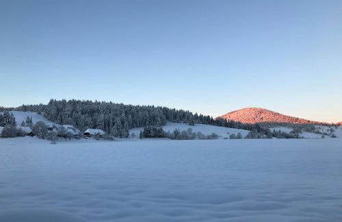 Ferienhaus Geiger in Bernau im Schwarzwald - Foto 15