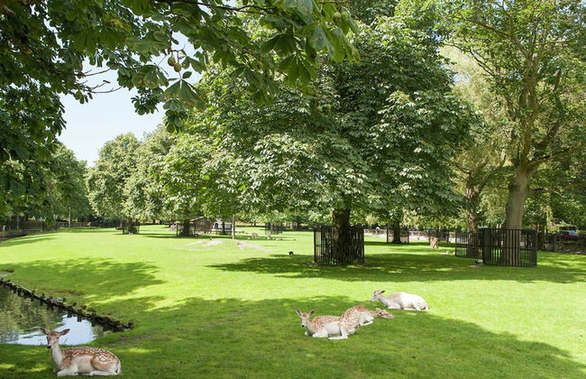 Cozy Cottage in Bergen With Terrace - Foto 53