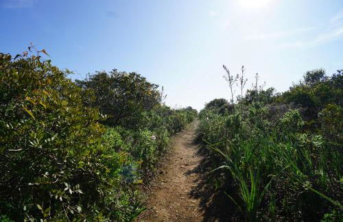 Vila Gaivota 3G - Foto 41