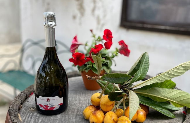 Fattoria Manostalla Villa Chiarelli - Foto 47