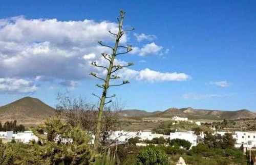 Cortijo Los Garridos - 12 huéspedes - Photo 41