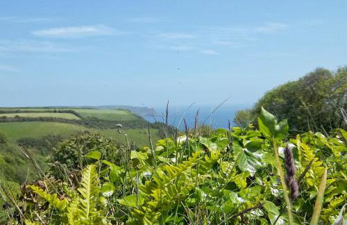 The Shippen - Foto 27